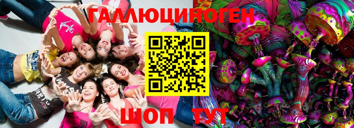 Псилоцибиновые грибы Psilocybe Будённовск