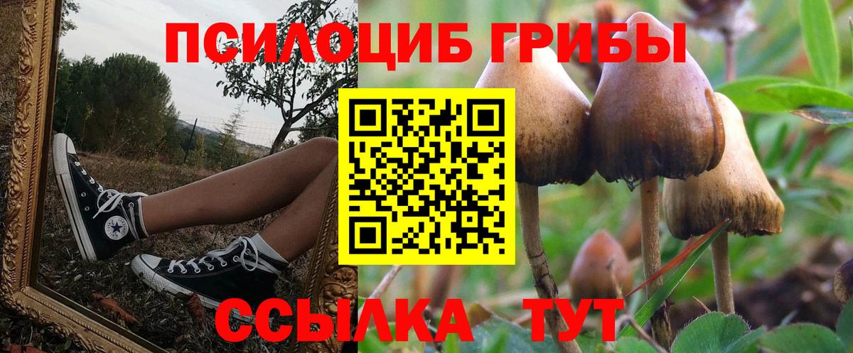 Псилоцибиновые грибы MAGIC MUSHROOMS Будённовск