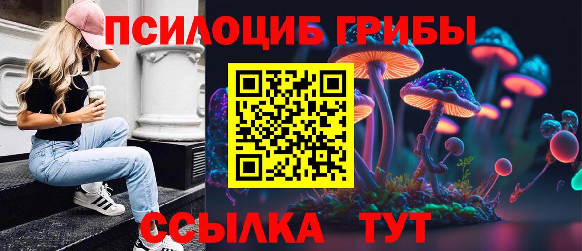 наркотики  Вход с VPN  Будённовск  Галлюциногенные грибы Psilocybe 