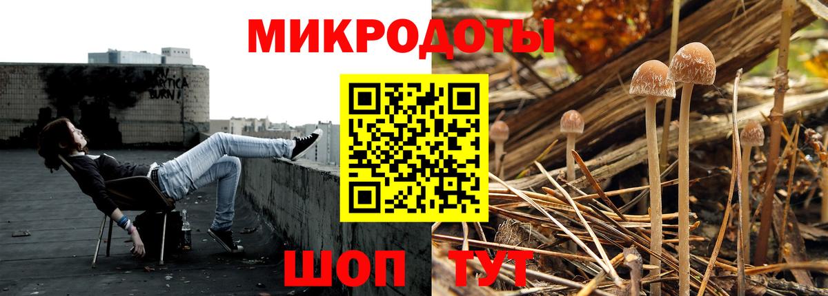 Псилоцибиновые грибы Cubensis  Будённовск  Галлюциногенные грибы прущие грибы 